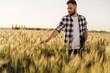 © standret - In checkered shirt. Guy engineer in wheat field against wind turbines