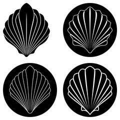 Fototapete - Four stylized seashell illustrations in black and white with varying shell shapes and orientations