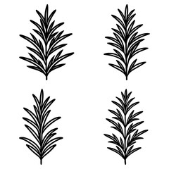 Poster - Four stylized rosemary sprigs arranged on a white background in a simple black outline drawing style