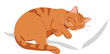 © Royal Ability - Sleeping orange tabby cat curled up on white pillow peaceful nap calm domestic pet rest