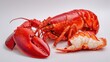 © Fancy Imagination - Fresh whole lobster with vibrant red shell and sliced cross-section showing tender white meat on a pure white seamless studio background