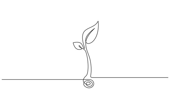 Plant growing continuous one line art drawing of tree plant outline vector illustration, Sprout Continuous Line Illustration, Single line drawing of a plant, Transparent background.