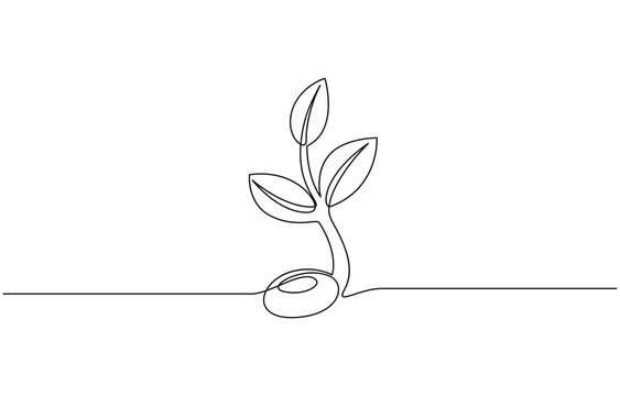 Plant growing continuous one line art drawing of tree plant outline vector illustration, Sprout Continuous Line Illustration, Single line drawing of a plant, Transparent background.
