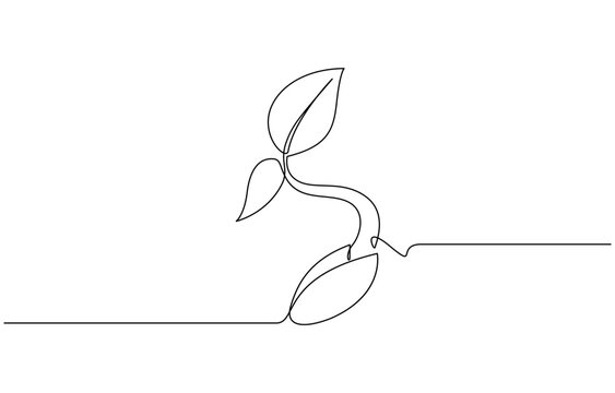 Plant growing continuous one line art drawing of tree plant outline vector illustration, Sprout Continuous Line Illustration, Single line drawing of a plant, Transparent background.