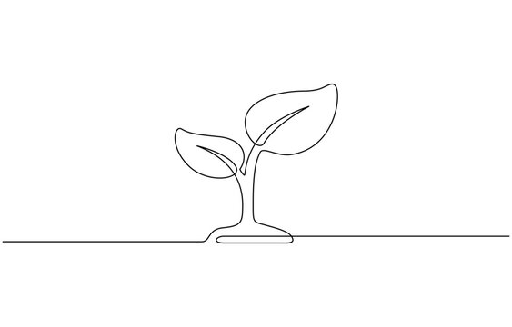 Plant growing continuous one line art drawing of tree plant outline vector illustration, Sprout Continuous Line Illustration, Single line drawing of a plant, Transparent background.