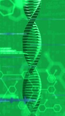 Poster - Animation of digital data processing and dna strand on green background