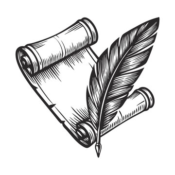 Scroll and feather pen in hand-drawn engraving. Ornate scroll design with writing quill evokes classic elegance.