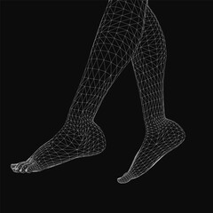 Fototapete - A 3D model of female legs in low polygonal wireframe style, showcasing detailed anatomy against a black background. The geometric design highlights muscle structure and form with clean edges.