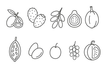 Poster - Exotic fruits outline icon set. unique fruit icons collection in linear style