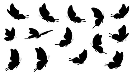 Poster - Monochrome butterfly silhouettes, vector pattern perfect for graphic design or backgrounds