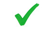 © all is well - A green check mark signifies approval and acceptance, isolated on white background