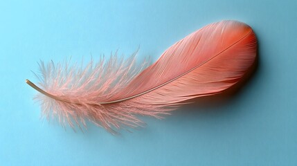 Poster - A single soft pink feather gently resting on a serene light blue backdrop creating a clean and minimalist composition