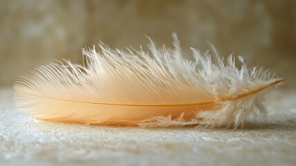 Poster - A delicate wispy feather in a soft shade of yellow lies gently on a tranquil ivory colored surface bathed in soothing high key lighting