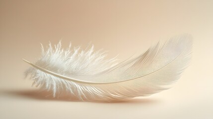 Poster - A single curved feather floats gently against a soft cream colored background conveying a sense of tranquility and minimalist elegance