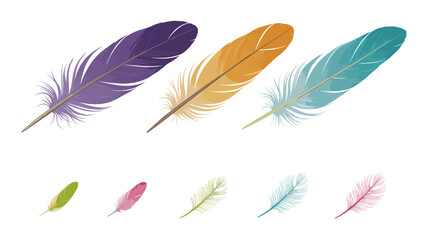 Poster - Watercolor style illustration featuring seven vibrant feathers arranged in two distinct rows