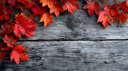 Wall Mural - Vibrant red autumn leaves frame rustic gray weathered wood planks for a beautiful seasonal background shot.