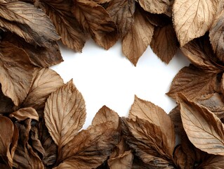 Wall Mural - Dried leaves frame a blank white space creating a natural autumnal border on bright background surface.