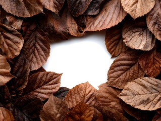 Wall Mural - Elegant frame of dried brown autumn leaves are arranged to showcase a blank white space in the center.