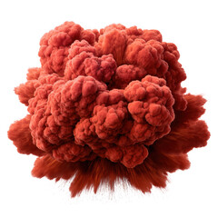 Poster - Red explosion isolated on transparent background