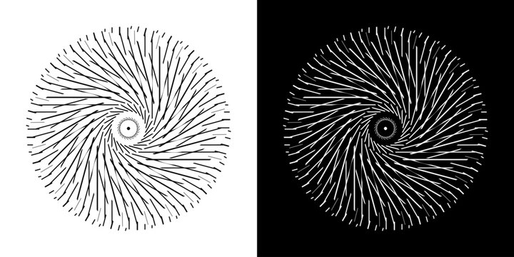 Abstract background with line pattern forming circle. Spiral art design as logo or icon. Black lines on white background and same white lines on black side. Mandala with line pattern.