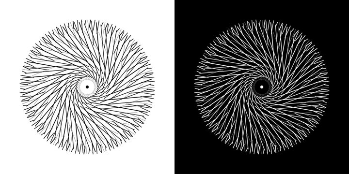 Abstract background with line pattern forming circle. Spiral art design as logo or icon. Black lines on white background and same white lines on black side. Mandala with line pattern.