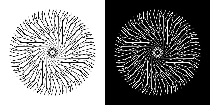Abstract background with line pattern forming circle. Spiral art design as logo or icon. Black lines on white background and same white lines on black side. Mandala with line pattern.