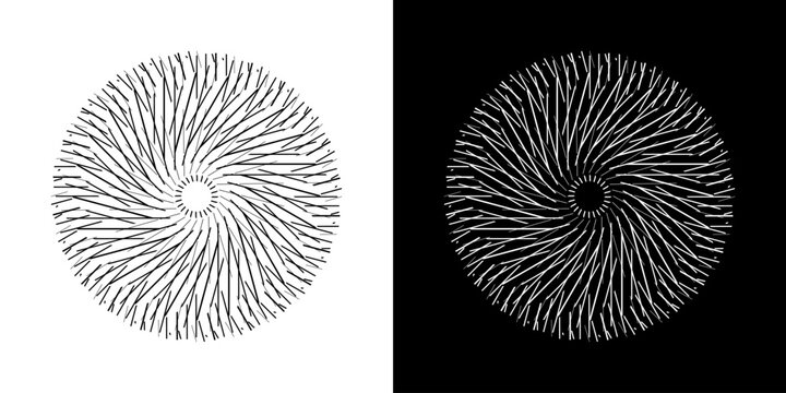 Abstract background with line pattern forming circle. Spiral art design as logo or icon. Black lines on white background and same white lines on black side. Mandala with line pattern.