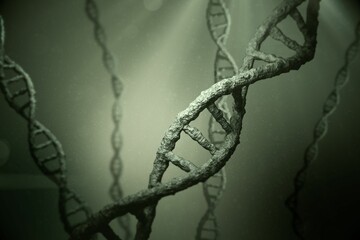 Poster - Rendering 3D DNA double helix twisting in softly lit greenish-gray environment with blurred helixes
