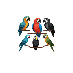 Naklejka na meble A collection of colorful parrots perched on branches in an illustration
