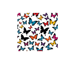 Poster - A collection of colorful butterflies scattered on a white background