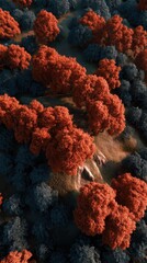 Poster - High-angle view of vibrant autumnal trees.