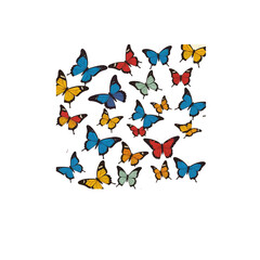 Poster - A collection of various colored butterflies scattered on white background