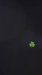Poster - Animation of light spots and clovers over black background
