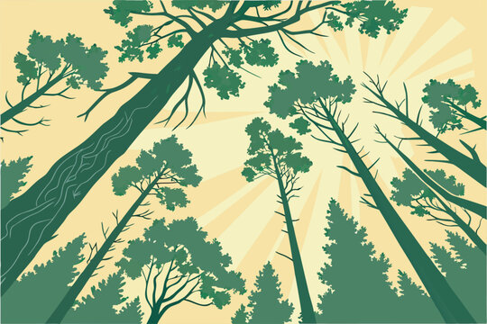 looking-upward-through-a-dense-forest-canopy-of-ta.eps