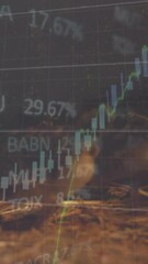 Poster - Animation of financial data processing over chicks in straw