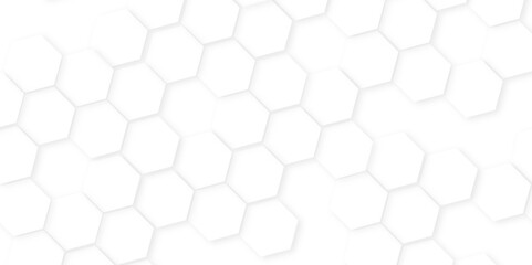Aufkleber - Abstract background with hexagon, modern abstract vector polygonal pattern. Futuristic honeycomb mosaic white background,white and gray hexagon honeycomb geometric copy space.