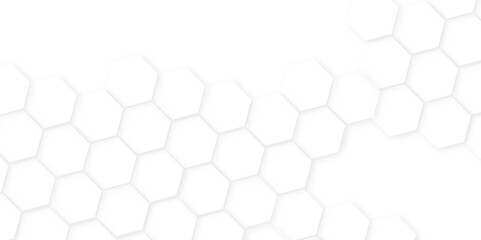 Aufkleber - Abstract background with hexagon, modern abstract vector polygonal pattern. Futuristic honeycomb mosaic white background,white and gray hexagon honeycomb geometric copy space.