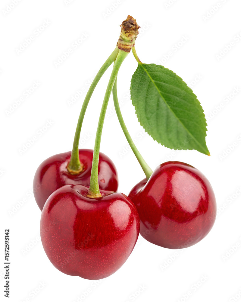 Fresh red cherries with green leaf isolated on white background for healthy fruit and summer food
