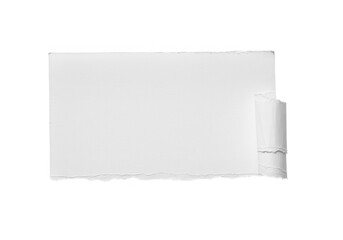 Poster - A piece of white paper is torn with a curled edge, isolated on a transparent background
