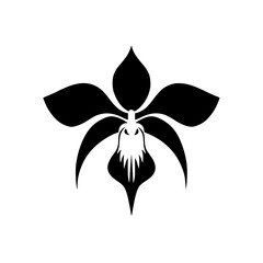 Poster - Silhouette pictogram of an elegant orchid flower design for nature themes and graphics
