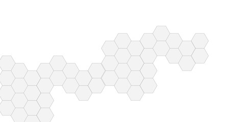 Poster - Abstract white hexagonal geometric background with shadow. Luxury white 3D futuristic honeycomb mosaic white background. Abstract white lines background. Vector Illustration.