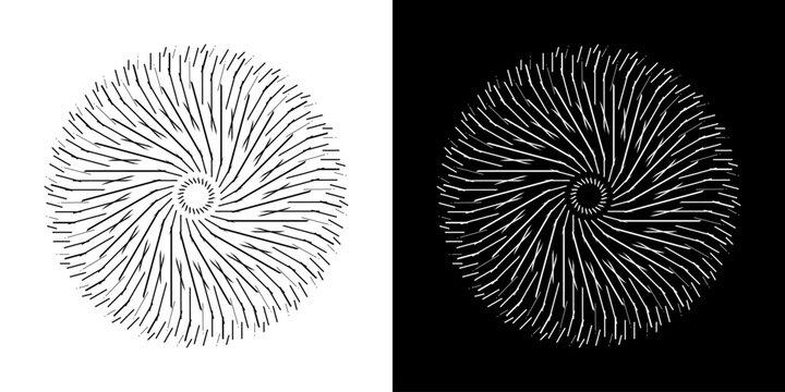 Abstract background with line pattern forming circle. Spiral art design as logo or icon. Black lines on white background and same white lines on black side. Mandala with line pattern.