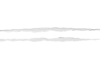 Poster - Two thin strips of torn white paper create a delicate texture against a clean, minimalist background isolated on transparent background