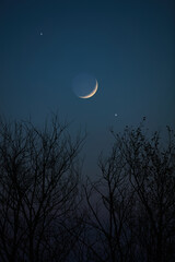 Wall Mural - crescent young moon with stars, planets and countryside silhouettes.
