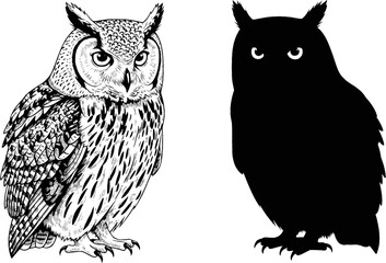 Wall Mural - Two owls depicted in black and white one with detailed feathers and one in solid silhouette design editable vector