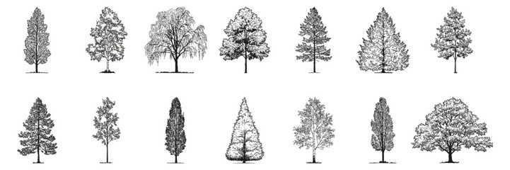 Monochrome Tree Sketch Side View Set. Environmental Planning And Architectural Design Collection. Isolated Vector Illustration