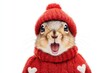 © Kust - A Cute Squirrel Wearing a Red Sweater and Hat with Hearts, Captured in an Adorable Expression Against a White Background