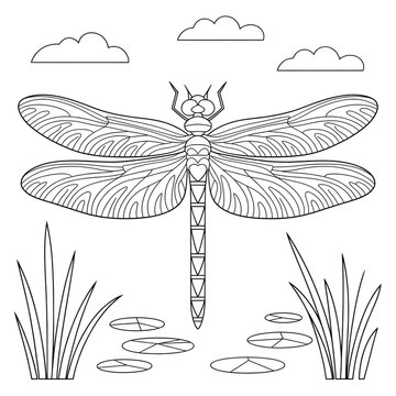 Beautiful line drawing dragonfly coloring page