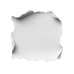 Poster - Torn White Paper Texture with Frayed Edges for Creative Design Projects and Background Use Transparent background or png