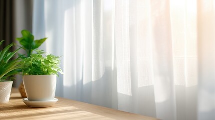 Poster - Sunlit indoor scene featuring potted plants on a wooden table beside sheer curtains